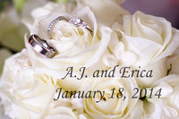 A.J. & Erica's Wedding